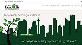 Eco Friendly Cleaning